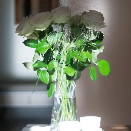 Apartamento Comfort *