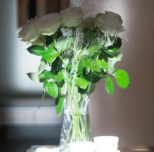 Apartamento Comfort *